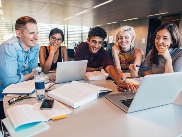 Career Roadmap for Freshers in IT